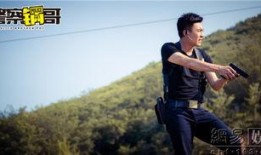 警察锅哥18在线观看,在线追凶，正义之光再起